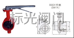 D81XϲֱyYD